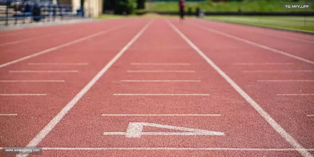 每一行代码都是匠心,每一次点击都是惊喜✨